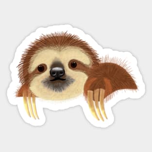 Cute Sloth Sticker